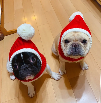 Knitted Warm Hat For Dogs