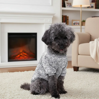 Winter Pet Sweater Outfit