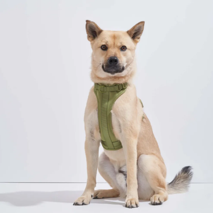 Wild One Dog Harness