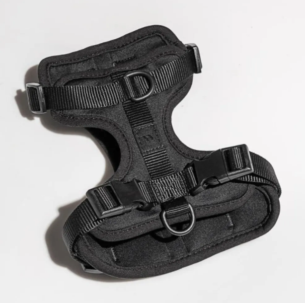 Wild One Dog Harness