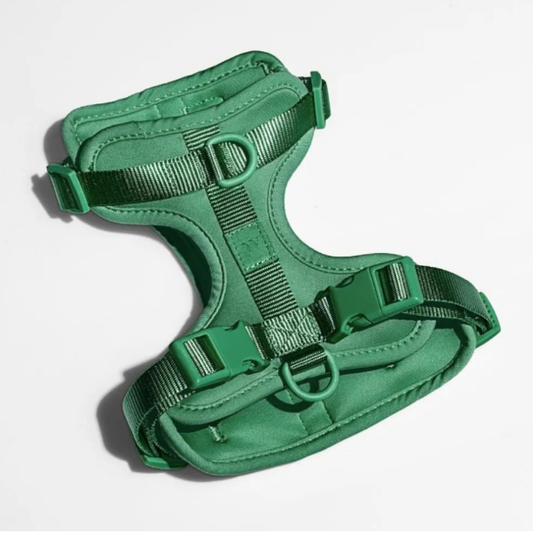 Wild One Dog Harness