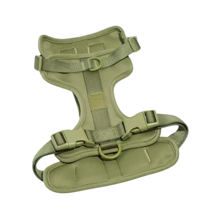 Wild One Dog Harness