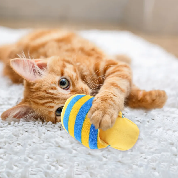 Squeaky Slipper Toy For Dogs